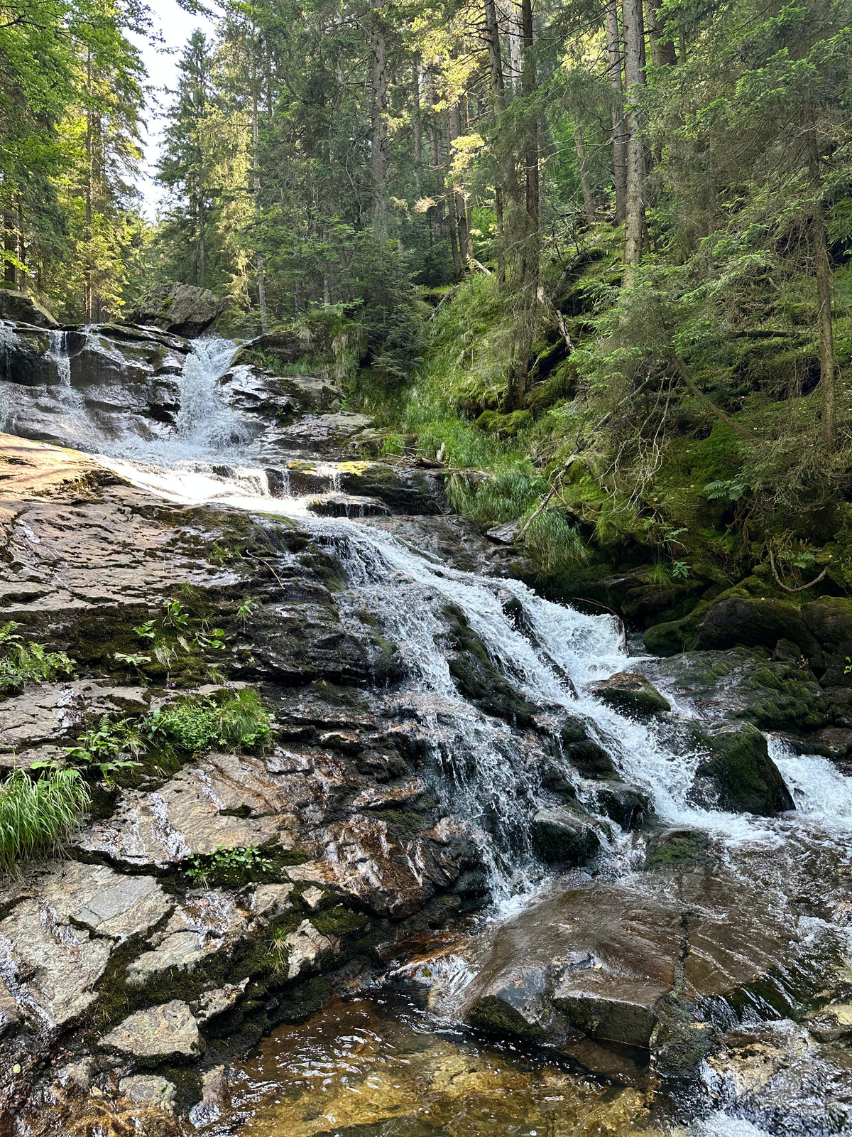 Die Rißlochwasserfälle bei Bodenmais - den höchsten Wasserfall in Bayerischen Wald