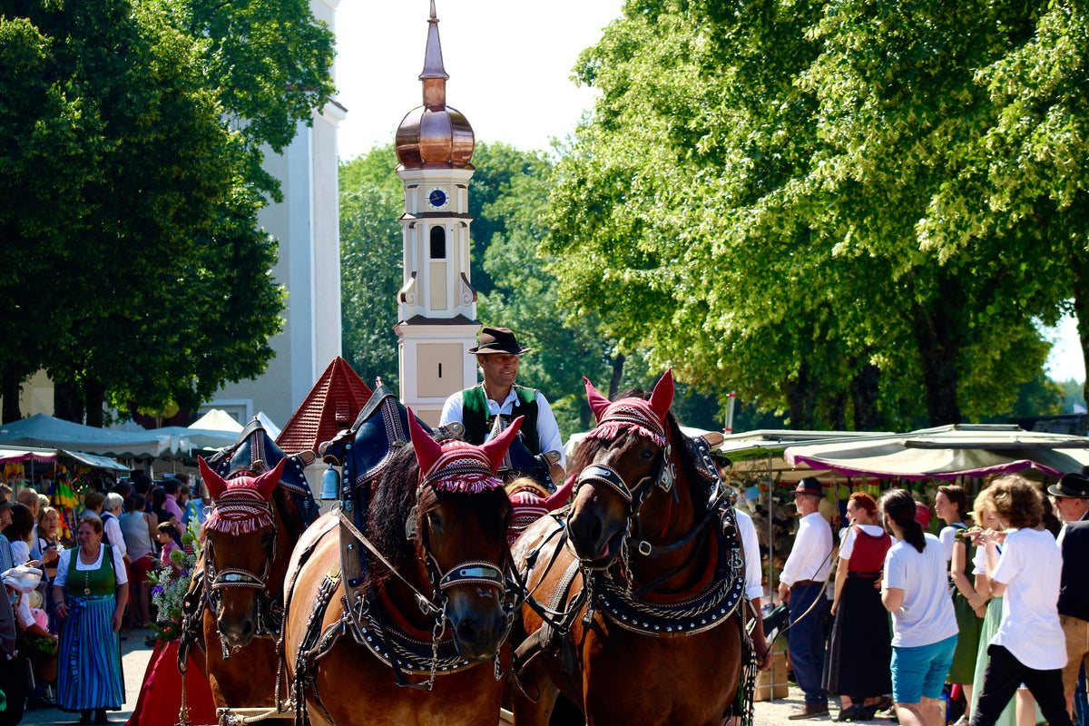 Traditionelle Leonhardi-Umfahrt in Siegertsbrunn bei München