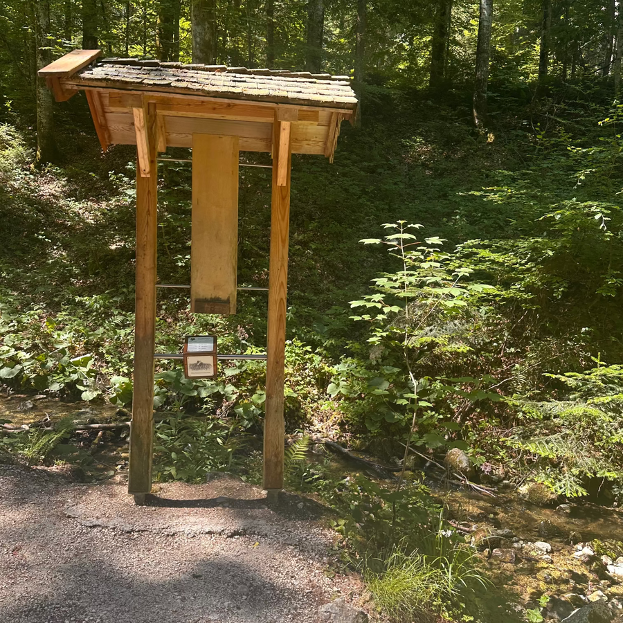 Bergwald-Erlebnispfad