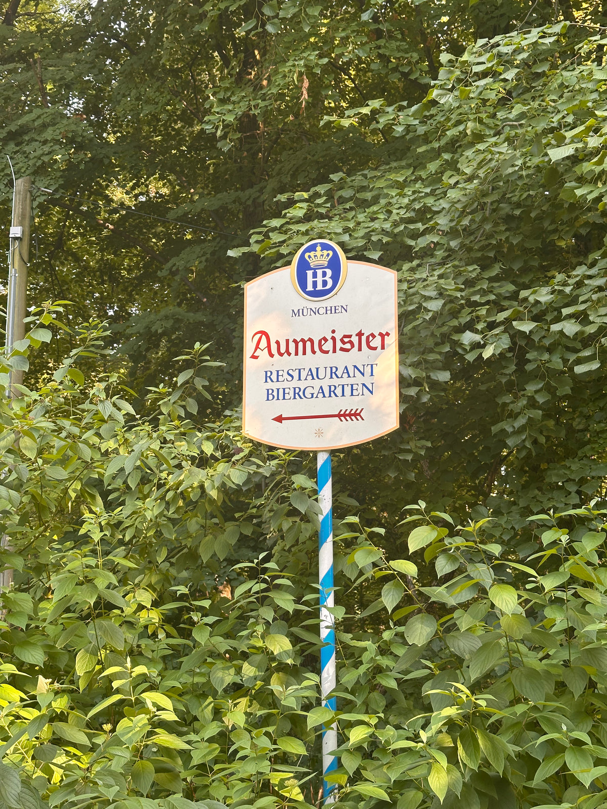 Aumeister am nördlichen Rand des Englischen Gartens