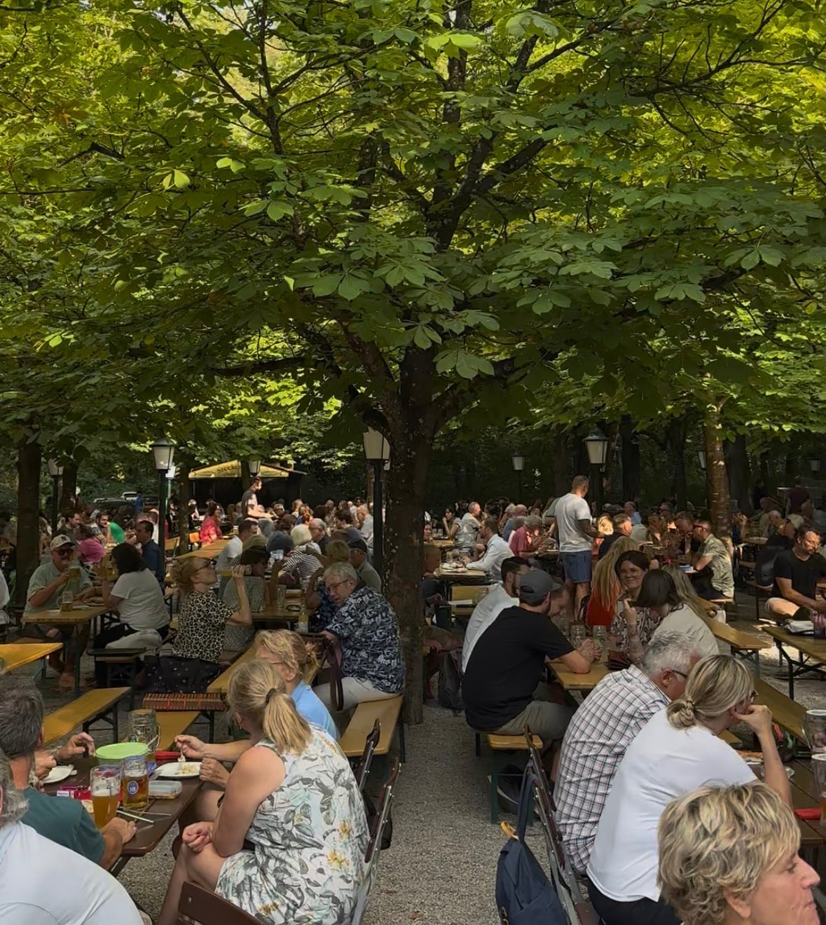 Aumeister Biergarten im Englischen Garten München