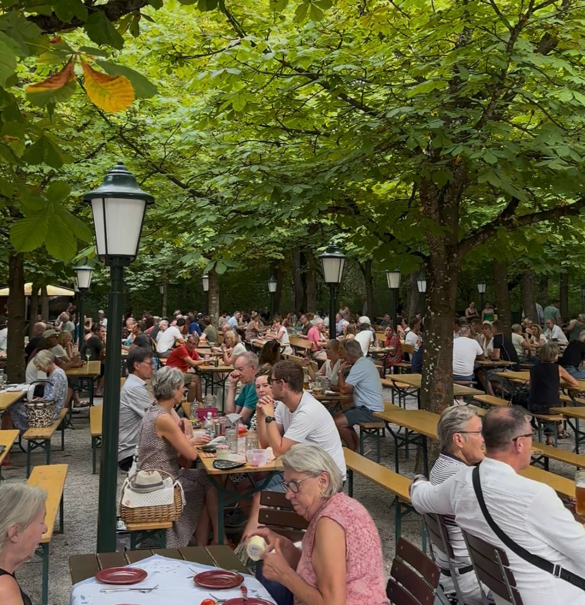 Aumeister Biergarten im Englischen Garten München