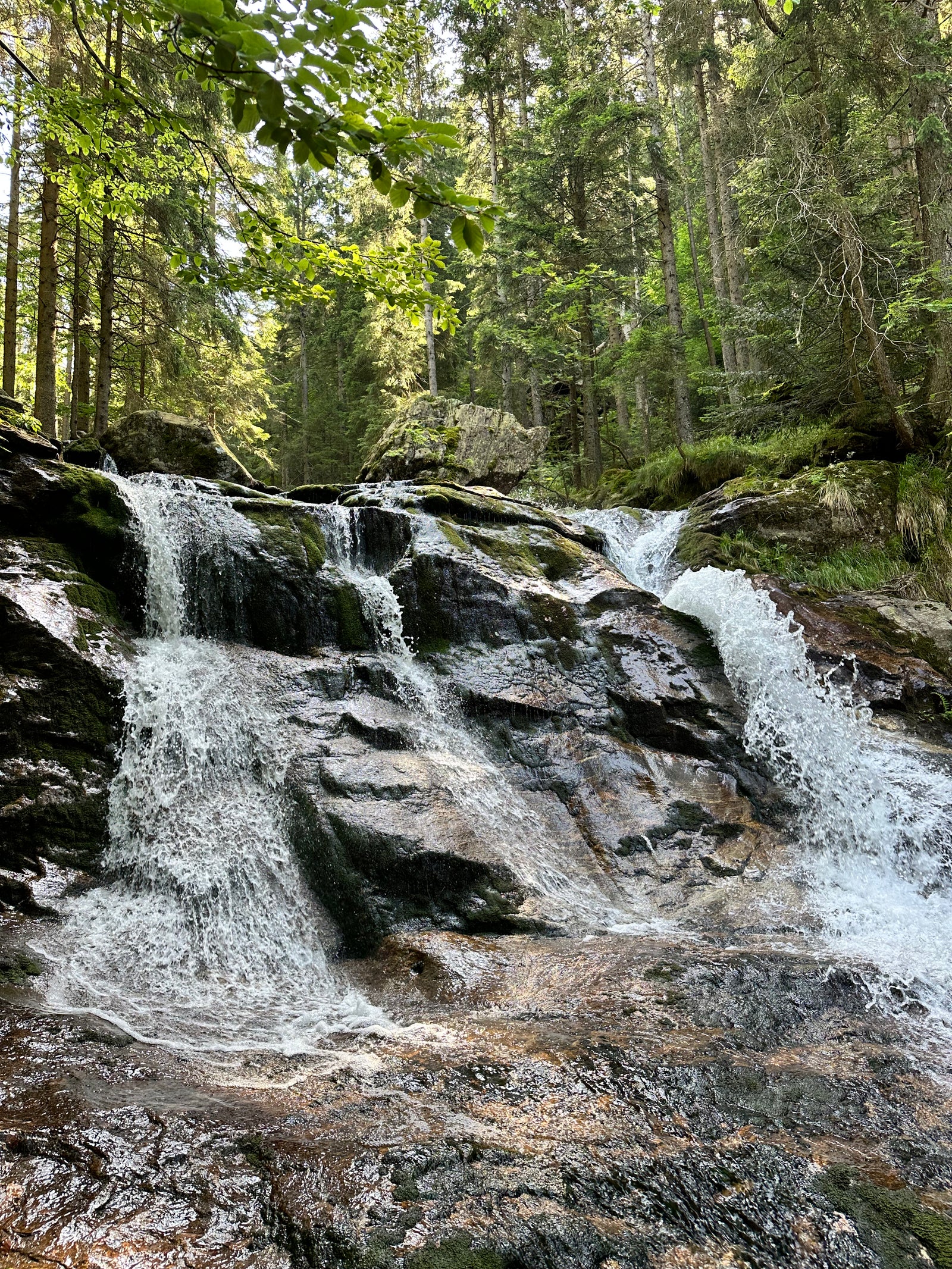 Rißlochwasserfälle bei Bodenmais