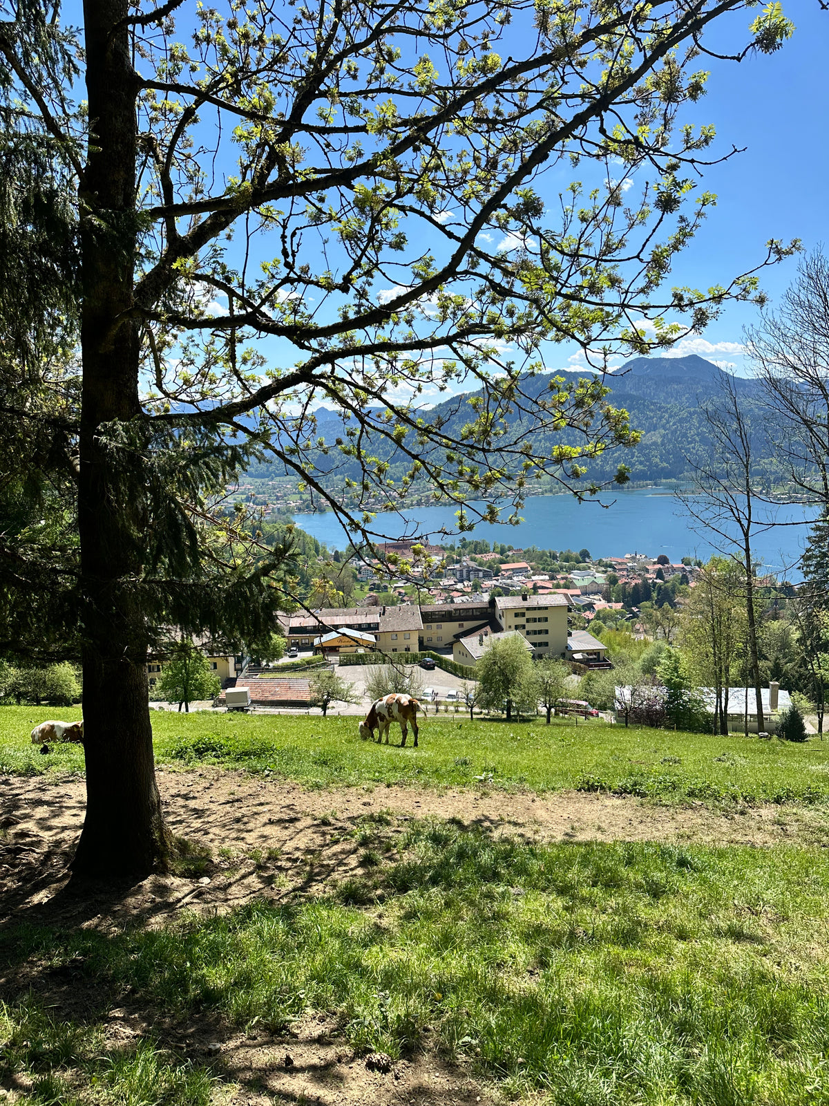 Tegernsee und Bräustüberl als Ausflugs- und Genusstipp