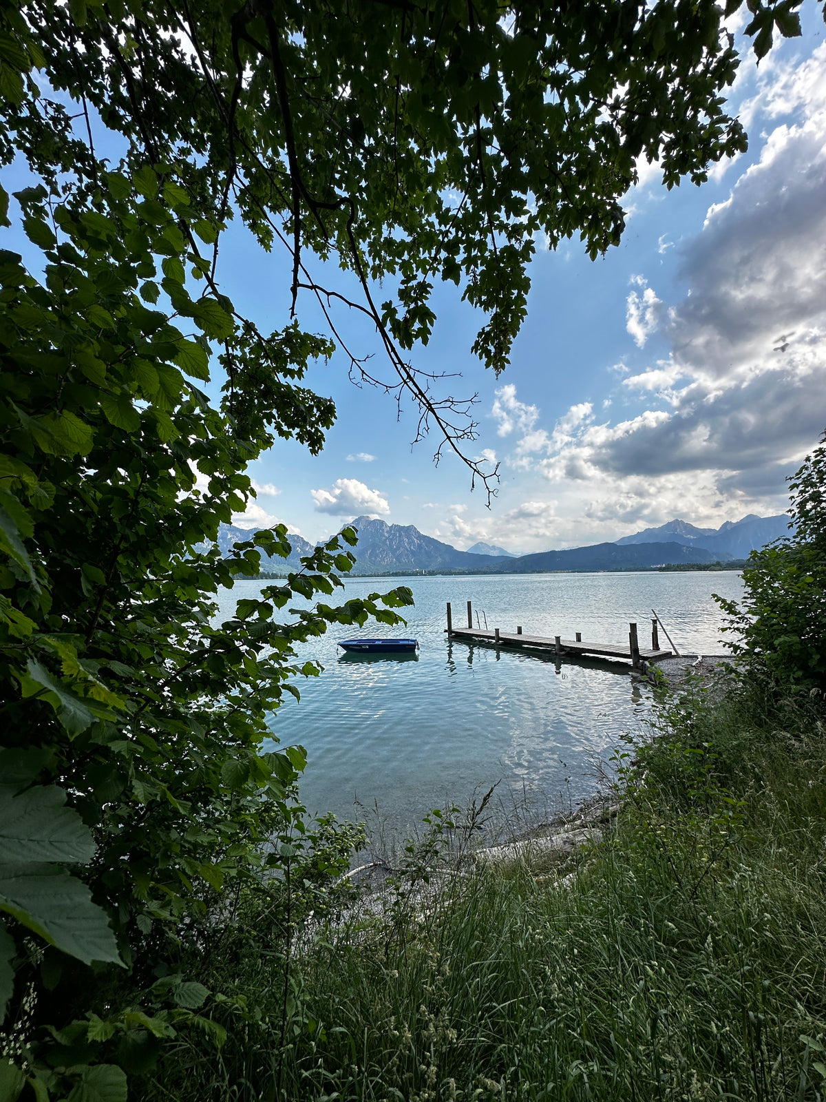 Forggensee bei Schwangau mit Alpenpanorama