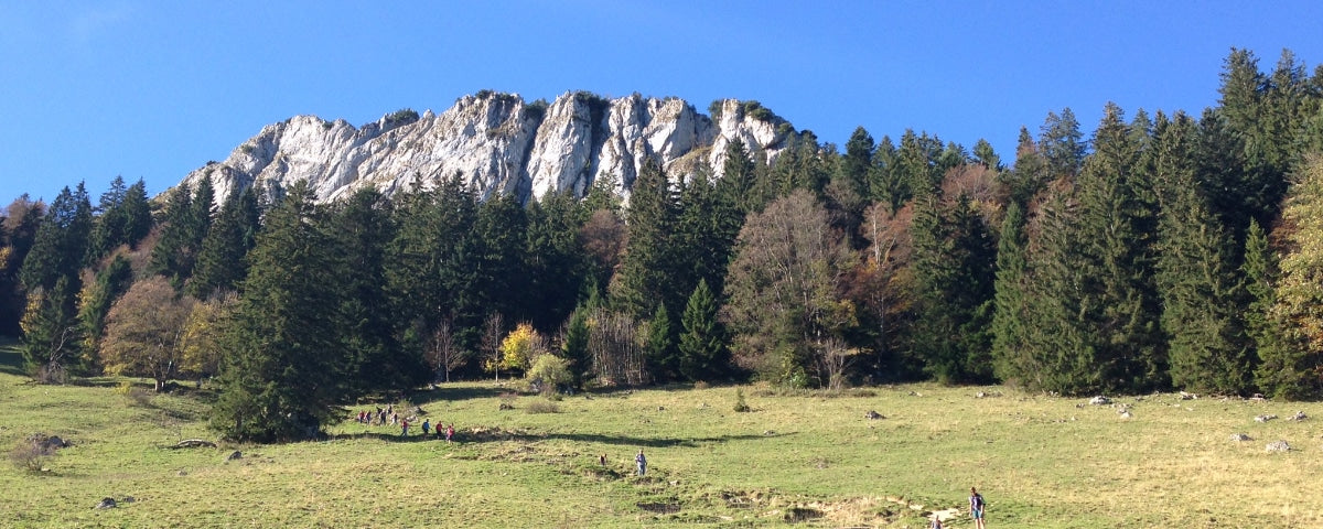 Heuberg mit Kinderwagen zu den Daffnerwaldalmen