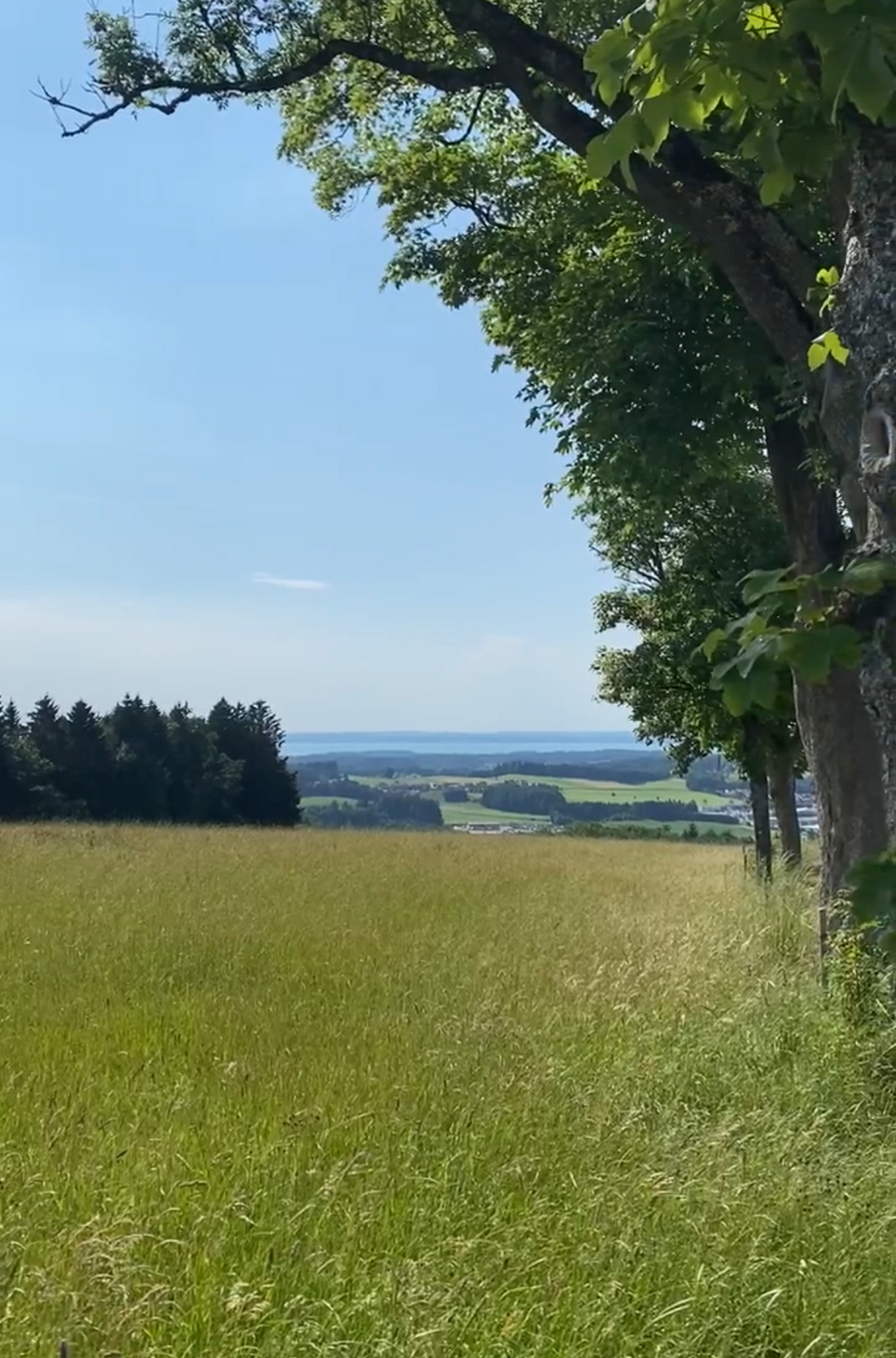 Hochberg