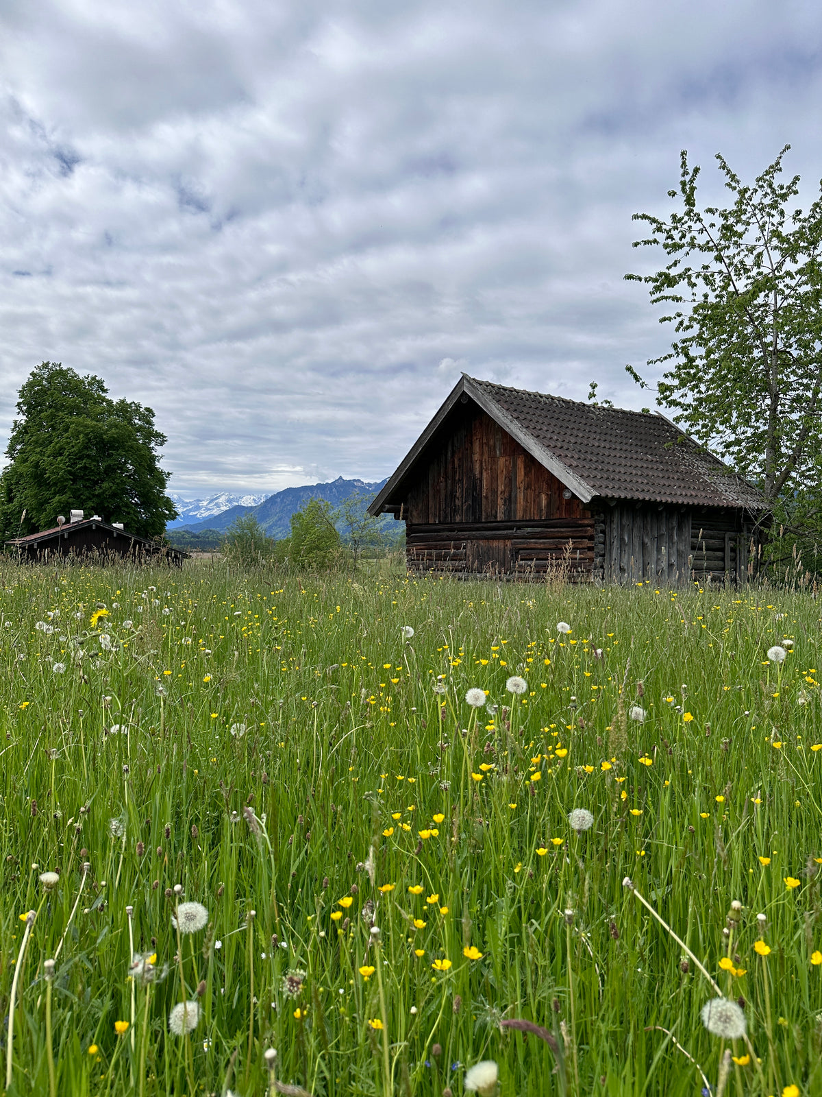 Murnauer Moos direkt am Alpenhof Murnau