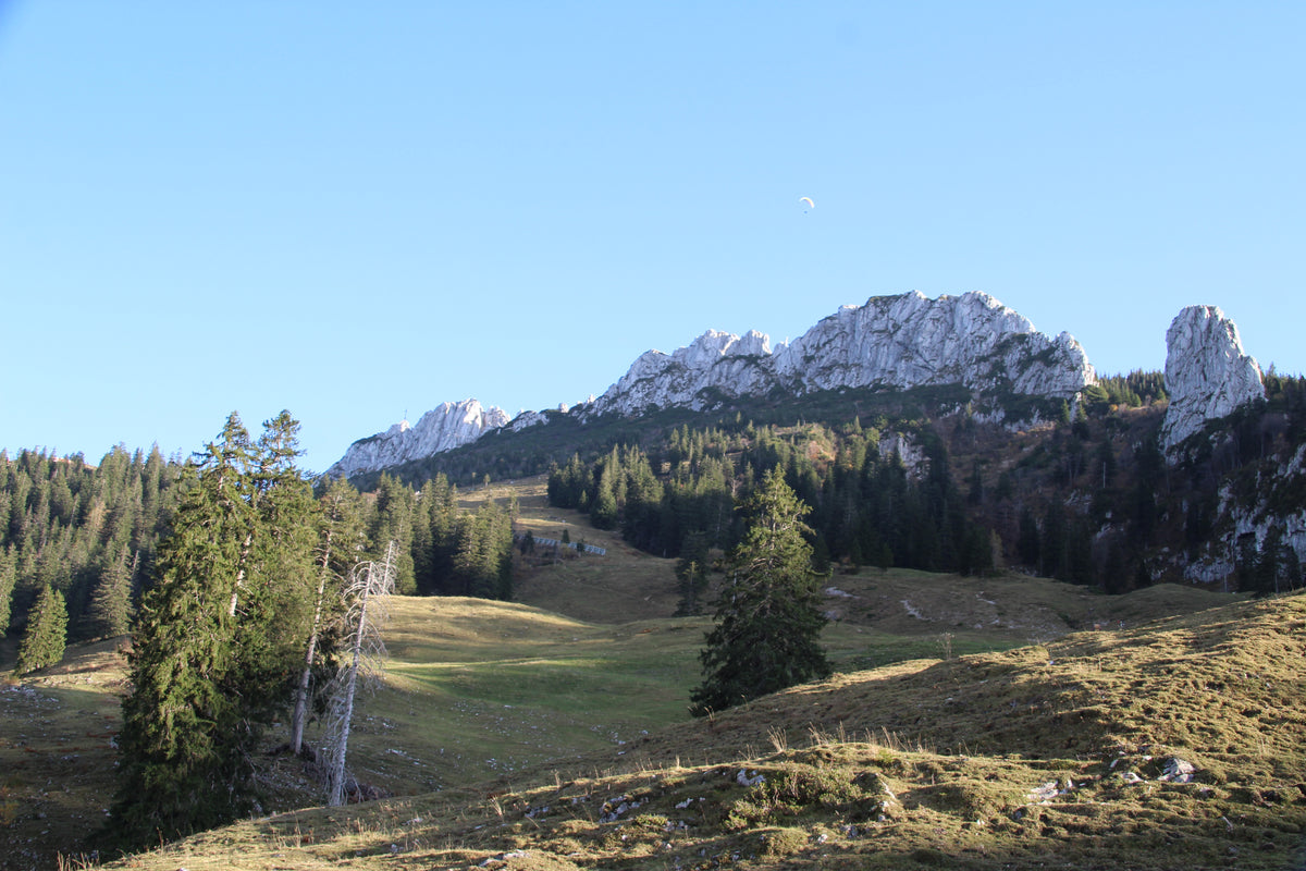 Herbstliche Kampenwand-Bergtour zu Fuß ab Aschau im Chiemgau ohne Seilbahn