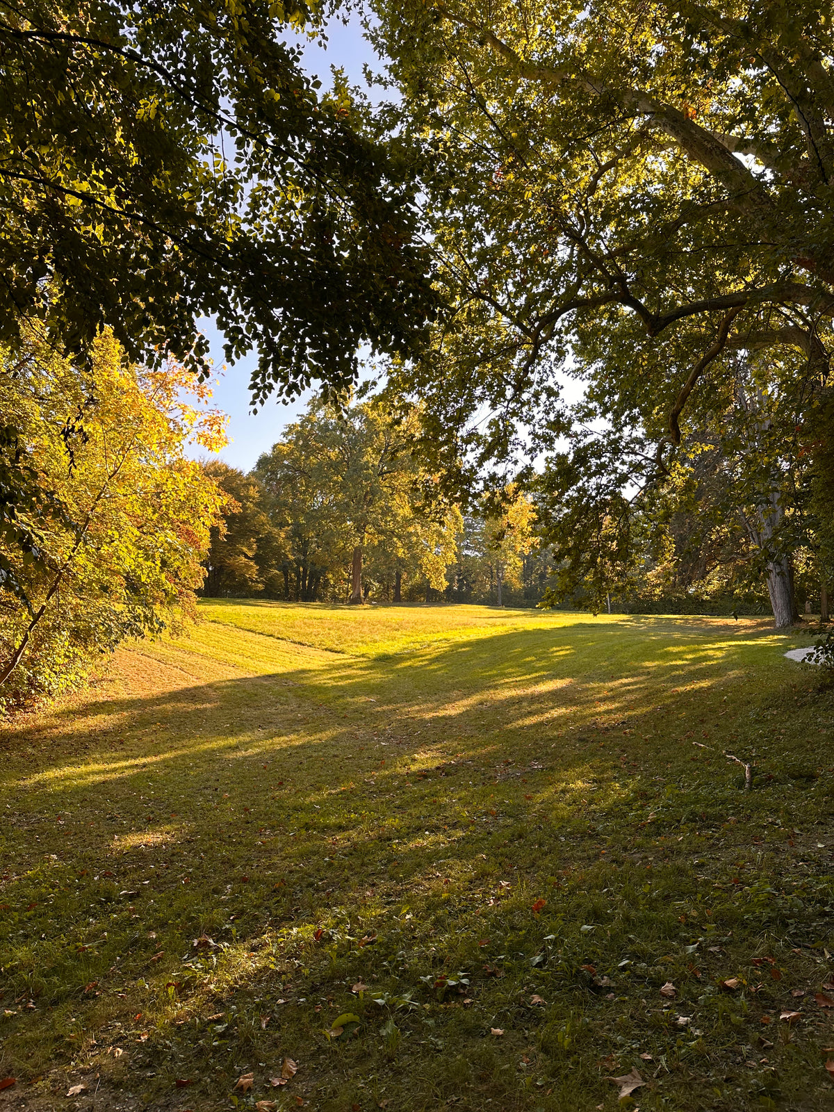 Hofgarten – grüne Verbindung zur Burg Trausnitz
