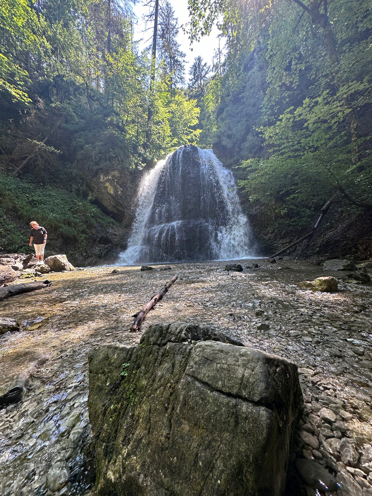 Wasserfall und Wald bei den Josefstaler Wasserfällen
