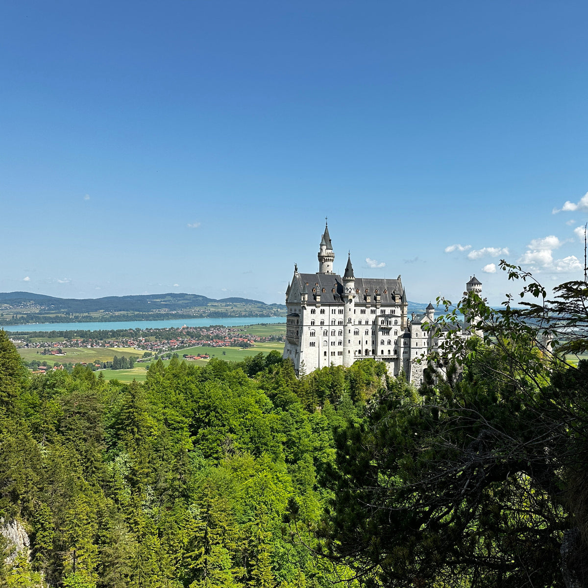 Neuschwanstein – das perfekte Bayern-Erlebnis