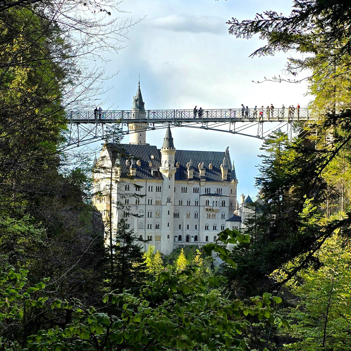 Marienbrücke, Pöllatschlucht & die schönsten Ausblicke