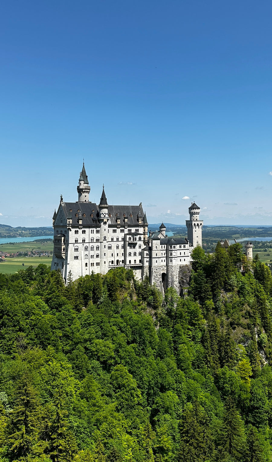 Blick auf dem Weg Richtung Tegelberg auf Schloss Neuschwanstein