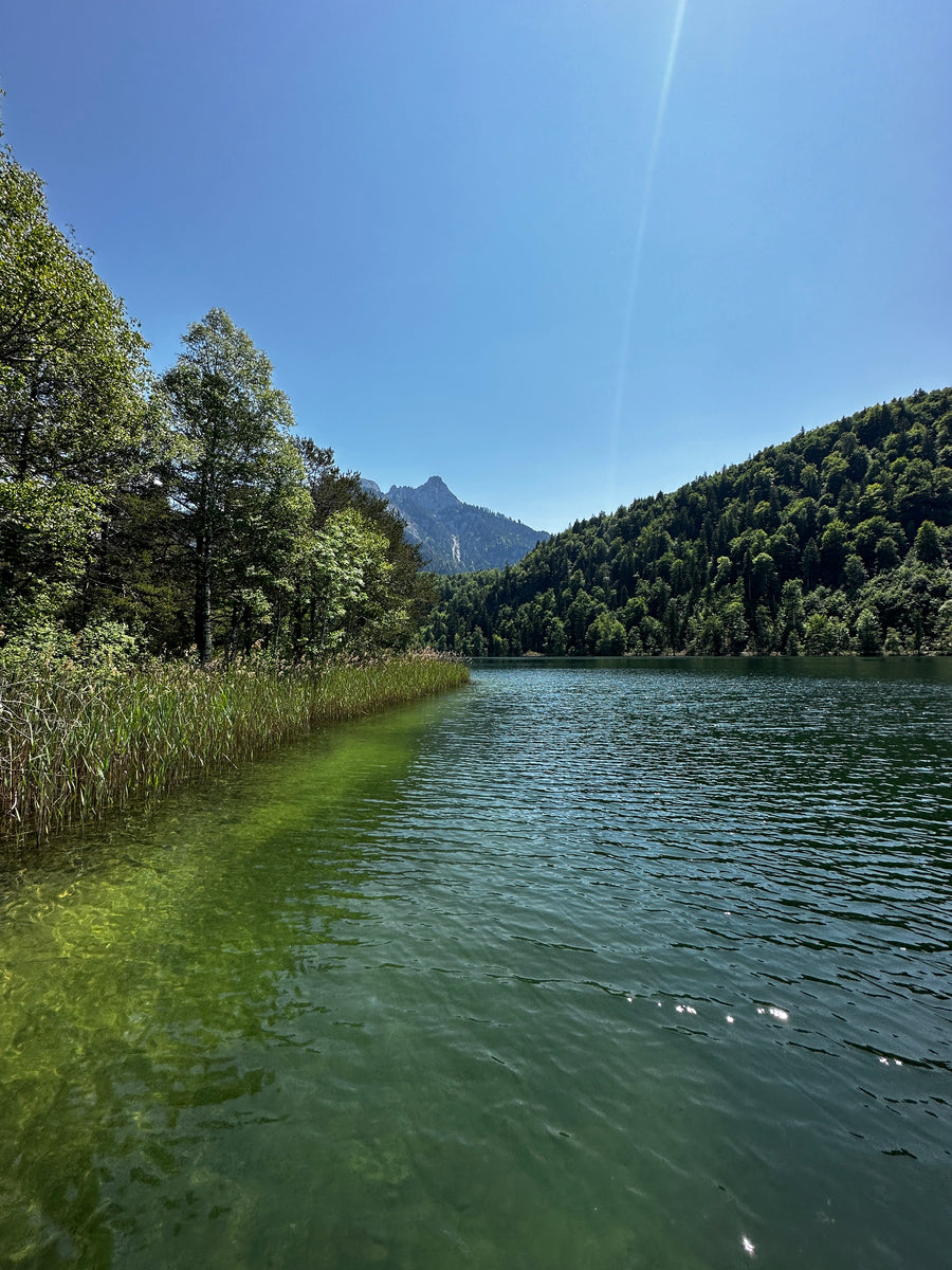 Schwansee