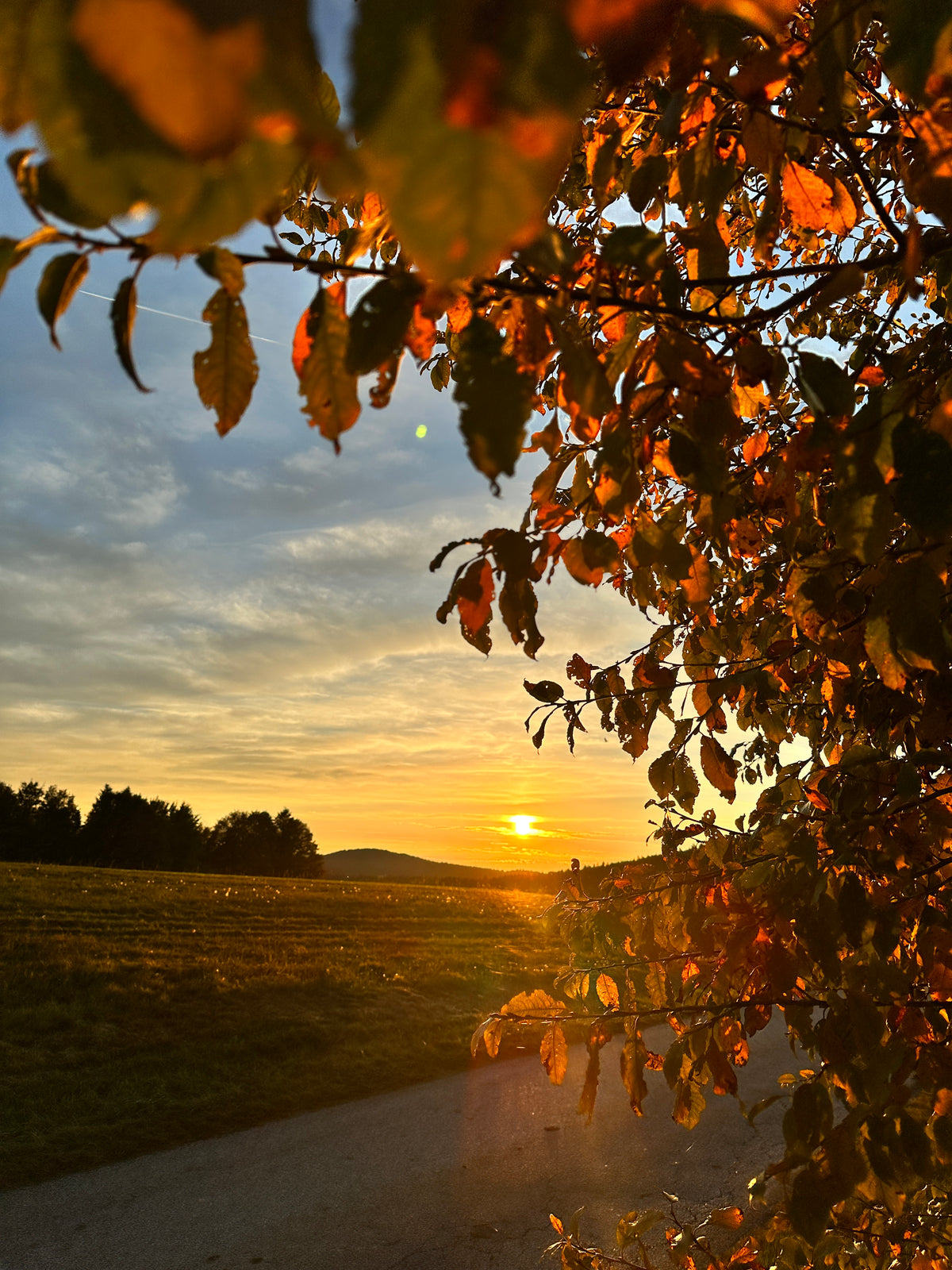 Auszeit im Bayerischen Wald – zwischen Passau und Natur