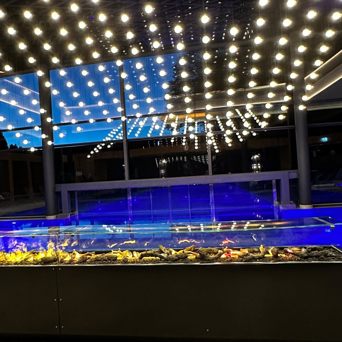 Wellness im Bayerischen Wald – 5.000 m² zum Abschalten