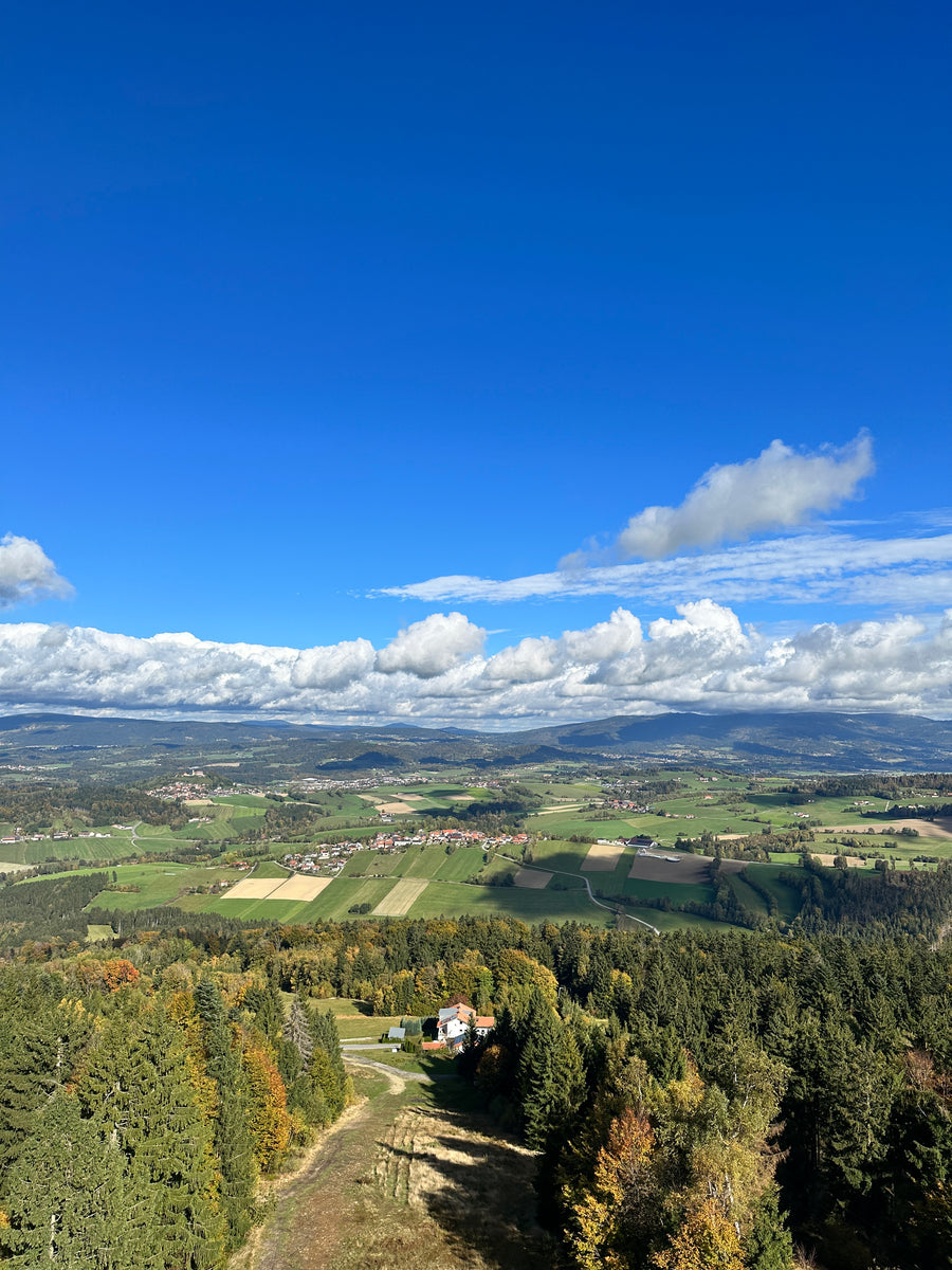 Aussichtsturm am Oberfrauenwald