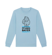 Sky Blue Printed Sweater Front